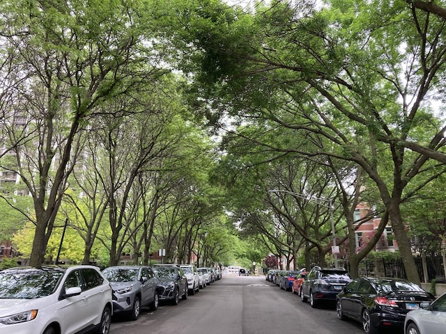 1515 S Prairie Ave Unit 1016, Chicago, IL 60605 - view of asphalt street