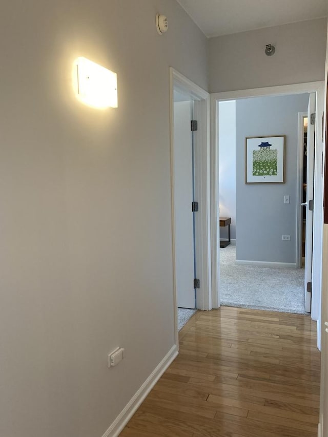 1515 S Prairie Ave Unit 1016, Chicago, IL 60605 - corridor featuring wood finished floors and baseboards