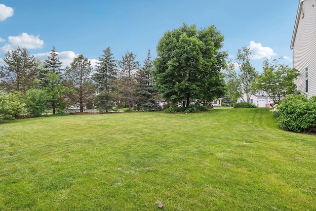 263 Thrush Cir, Lindenhurst, IL 60046 - view of grassy yard