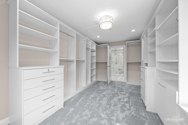 2417 Wentworth Ln, Aurora, IL 60502 - walk in closet featuring light colored carpet and attic access