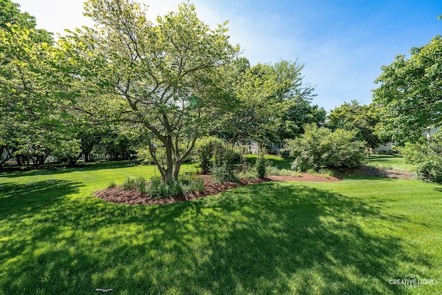 2417 Wentworth Ln, Aurora, IL 60502 - view of green lawn with view of scattered trees