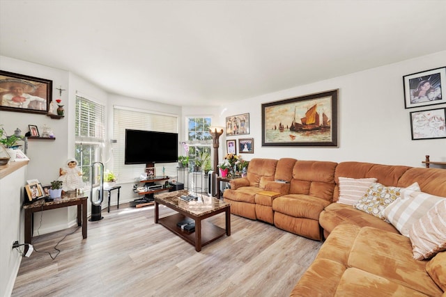 46 Harmony Ln, Romeoville, IL 60446 - living area with light wood-style flooring