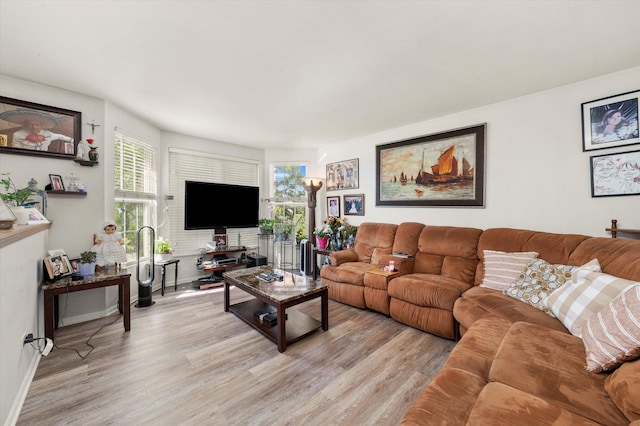 46 Harmony Ln, Romeoville, IL 60446 - living room featuring light wood-style floors and baseboards