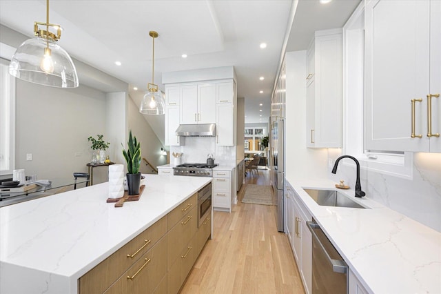 1636 W Wolfram St, Chicago, IL 60657 - kitchen with a sink, appliances with stainless steel finishes, under cabinet range hood, recessed lighting, and light wood-style floors