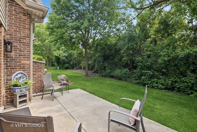 13922 Steepleview Ln, Lemont, IL 60439 - view of patio / terrace