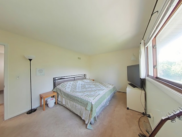 4400 Waubansie Ln, Lisle, IL 60532 - bedroom featuring light carpet