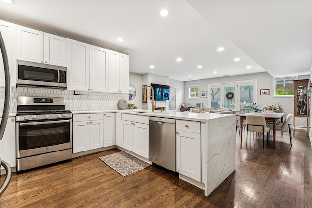 2309 W Chicago Ave Unit 1, Chicago, IL 60622 - kitchen featuring appliances with stainless steel finishes, a peninsula, a sink, backsplash, and dark wood finished floors