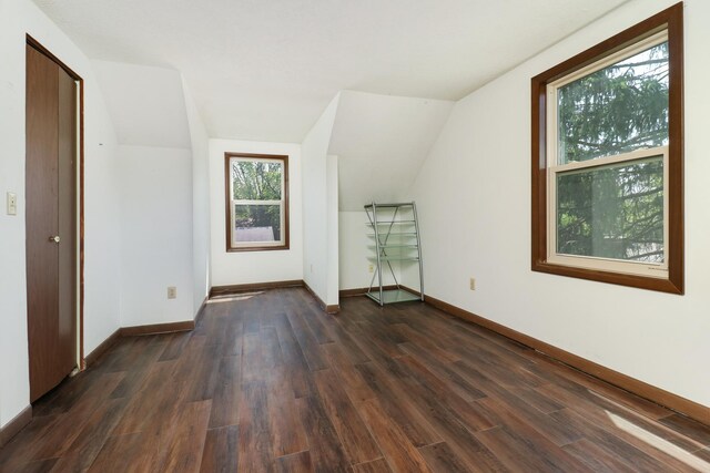 301 Columbia Dr, Normal, IL 61761 - additional living space with dark wood finished floors and lofted ceiling