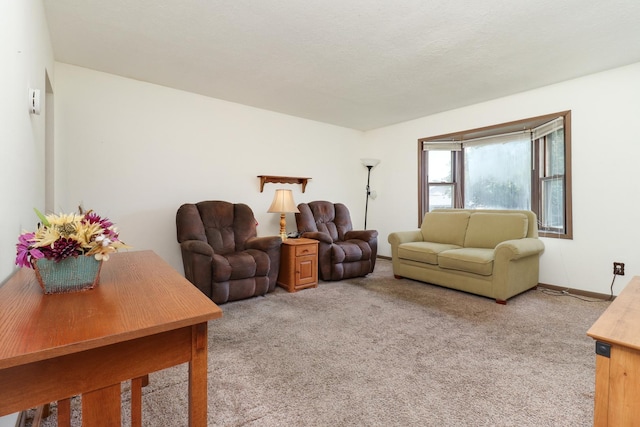 301 Columbia Dr, Normal, IL 61761 - living area with light colored carpet