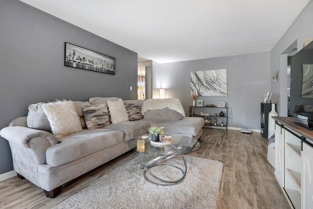 2642 N Windsor Dr Unit 102, Arlington Heights, IL 60004 - living area featuring light wood-style floors and baseboards