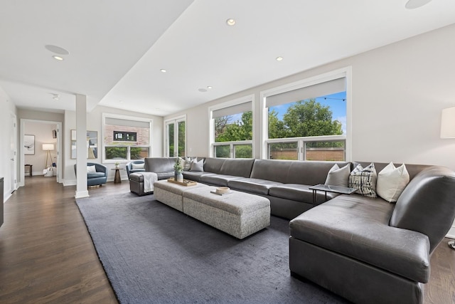 1307 W Wrightwood Ave Unit 201, Chicago, IL 60614 - living area with dark wood-style flooring and recessed lighting