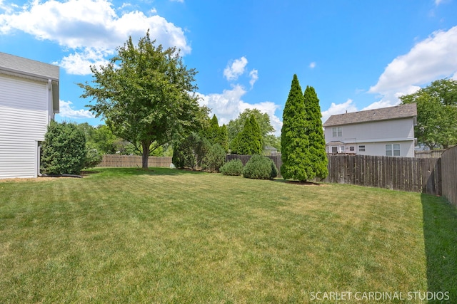 664 Birchwood Dr, Bolingbrook, IL 60490 - view of fenced backyard