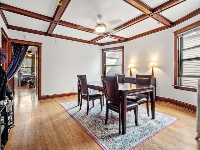 1961 W Farragut Ave, Chicago, IL 60640 - photo 24