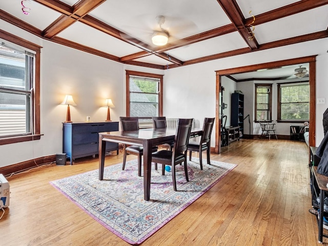 1961 W Farragut Ave, Chicago, IL 60640 - photo 25