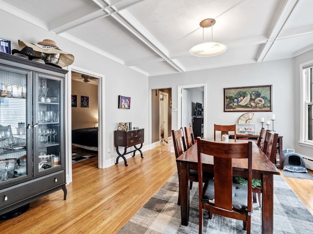 1961 W Farragut Ave, Chicago, IL 60640 - photo 9