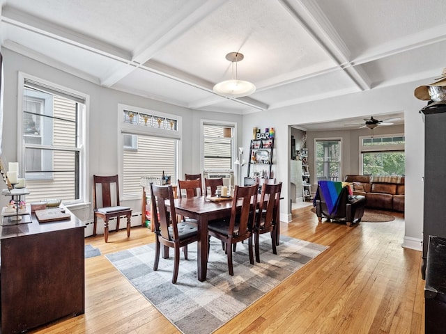 1961 W Farragut Ave, Chicago, IL 60640 - photo 10