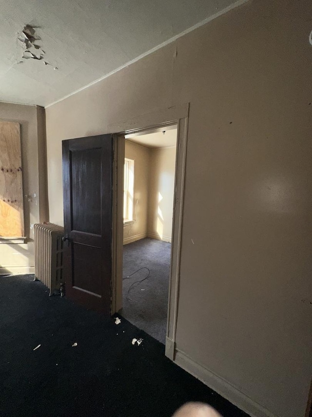 7425 S Harvard Ave, Chicago, IL 60621 - carpeted empty room featuring radiator and baseboards