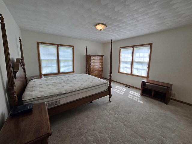 210 S Ridge St, Shannon, IL 61078 - bedroom featuring multiple windows, baseboards, carpet, and a textured ceiling