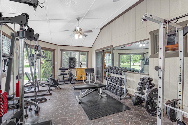 32638 S Lia Ln, Beecher, IL 60401 - gym featuring a ceiling fan, vaulted ceiling, stone floors, and wooden walls