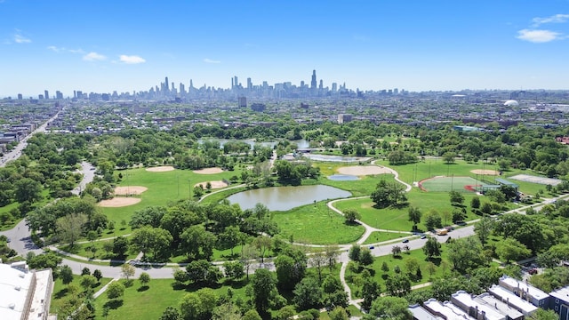 1518 N Kedzie Ave, Chicago, IL 60651 - drone / aerial view of skyline and a large body of water