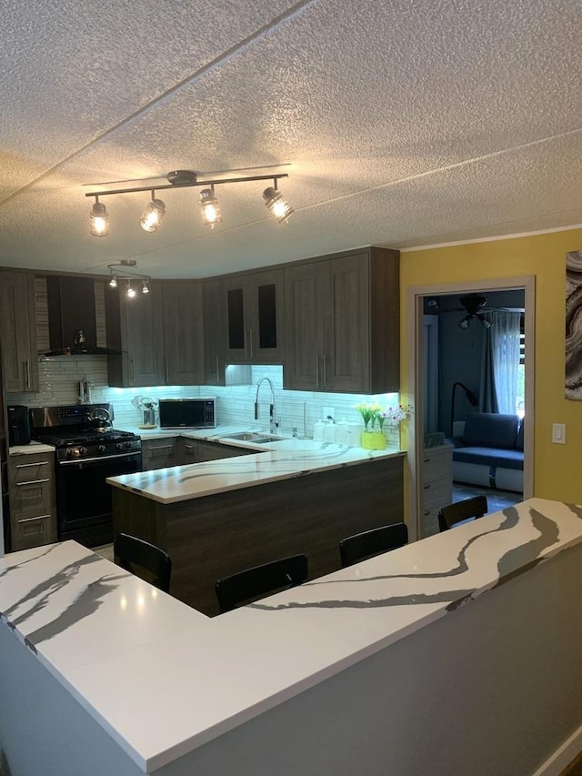 6430 W Belle Plaine Ave Unit 202, Chicago, IL 60634 - kitchen with black range with gas stovetop, stainless steel microwave, a sink, wall chimney range hood, and decorative backsplash
