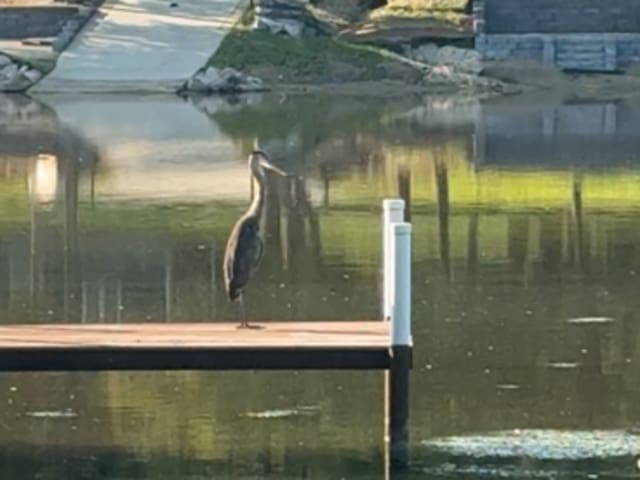 1599 Lowe Dr, Algonquin, IL 60102 - dock area featuring a water view