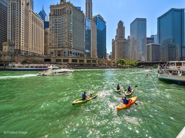 405 N Wabash Ave Unit 2313, Chicago, IL 60611 - water view featuring skyline