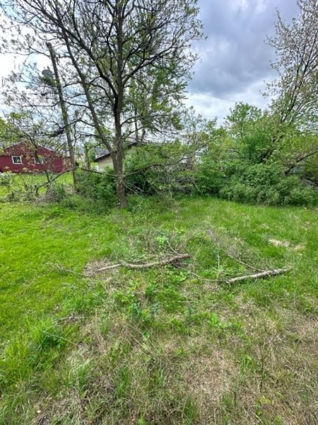1764 Ross Cres, Sauk Village, IL 60411 - view of yard