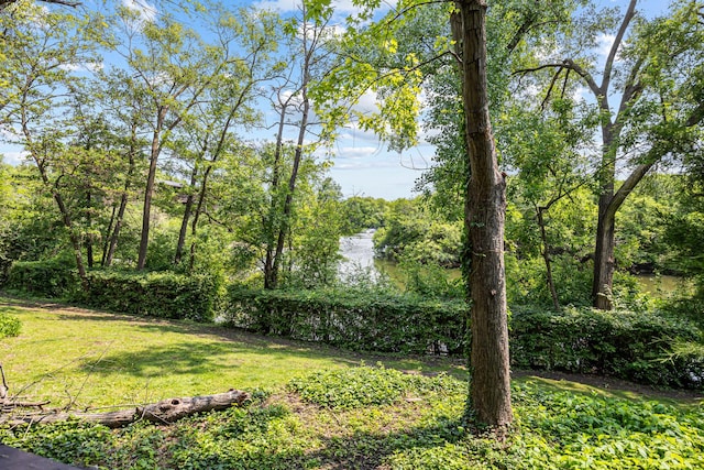 5515 Lakeside Dr Unit 1D, Lisle, IL 60532 - view of green lawn