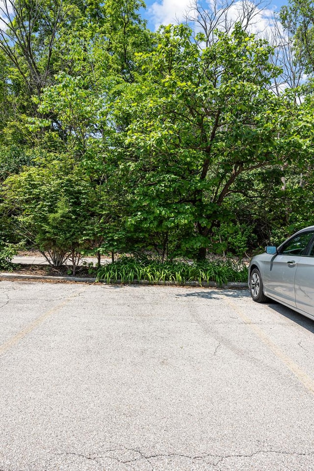 5515 Lakeside Dr Unit 1D, Lisle, IL 60532 - view of street
