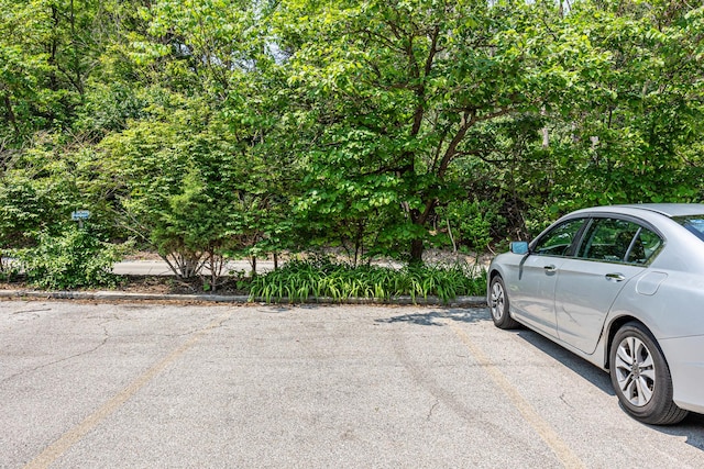 5515 Lakeside Dr Unit 1D, Lisle, IL 60532 - view of uncovered parking lot
