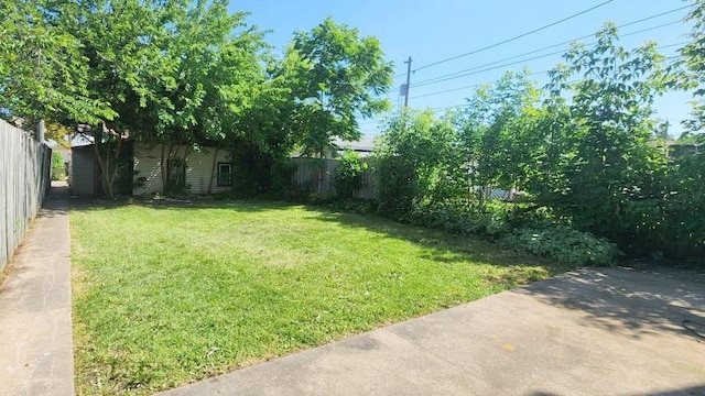 5330 W Foster Ave, Chicago, IL 60630 - view of yard
