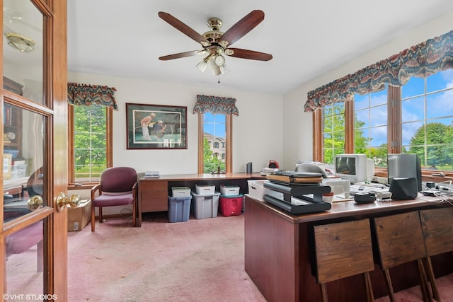 17935 Pheasant Lake Dr, Tinley Park, IL 60487 - home office with light colored carpet, healthy amount of natural light, and ceiling fan
