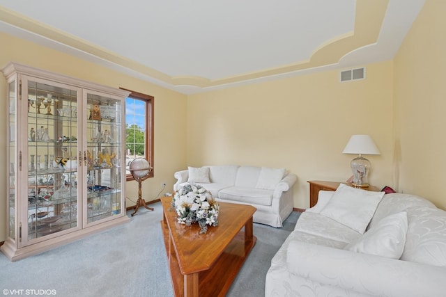 17935 Pheasant Lake Dr, Tinley Park, IL 60487 - living area with carpet floors, a tray ceiling, and baseboards