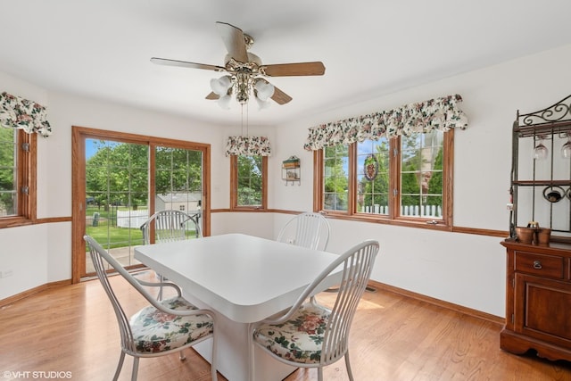 17935 Pheasant Lake Dr, Tinley Park, IL 60487 - dining space featuring light wood-style flooring, a ceiling fan, and plenty of natural light