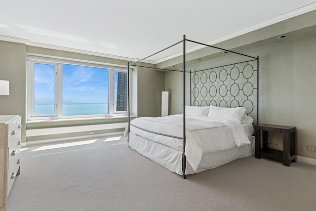 132 E Delaware Pl Unit 5504, Chicago, IL 60611 - bedroom with carpet