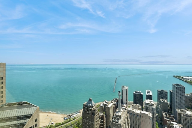 132 E Delaware Pl Unit 5504, Chicago, IL 60611 - water view