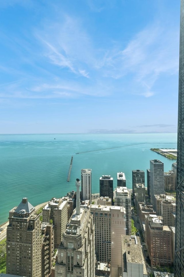 132 E Delaware Pl Unit 5504, Chicago, IL 60611 - view of urban area with a large body of water
