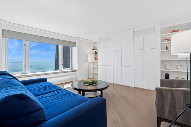 132 E Delaware Pl Unit 5504, Chicago, IL 60611 - living area with light wood-style floors and a water view