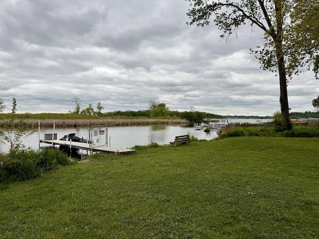 27616 W Rowe Ave, Spring Grove, IL 60081 - dock area with a water view and a yard