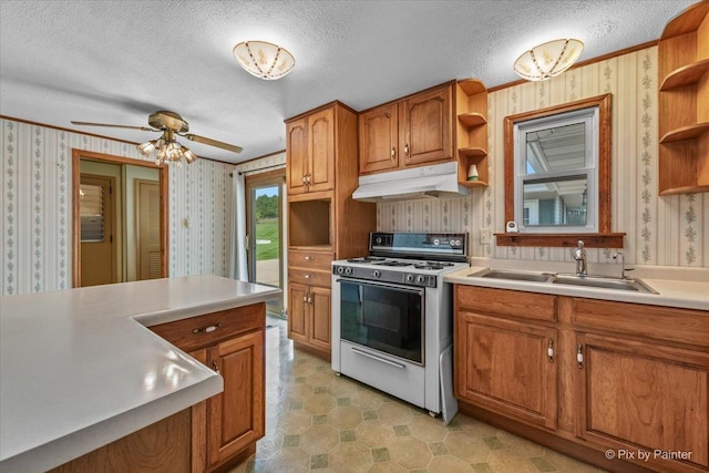 1434 Somerset Ln, Schaumburg, IL 60193 - kitchen featuring gas range gas stove, open shelves, wallpapered walls, under cabinet range hood, and a sink
