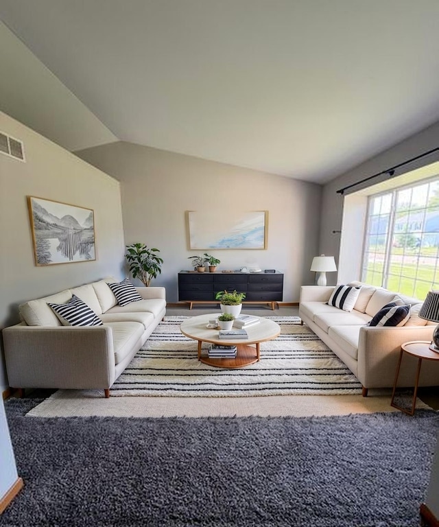 916 Bluegrass Ln, Plano, IL 60545 - living area with lofted ceiling