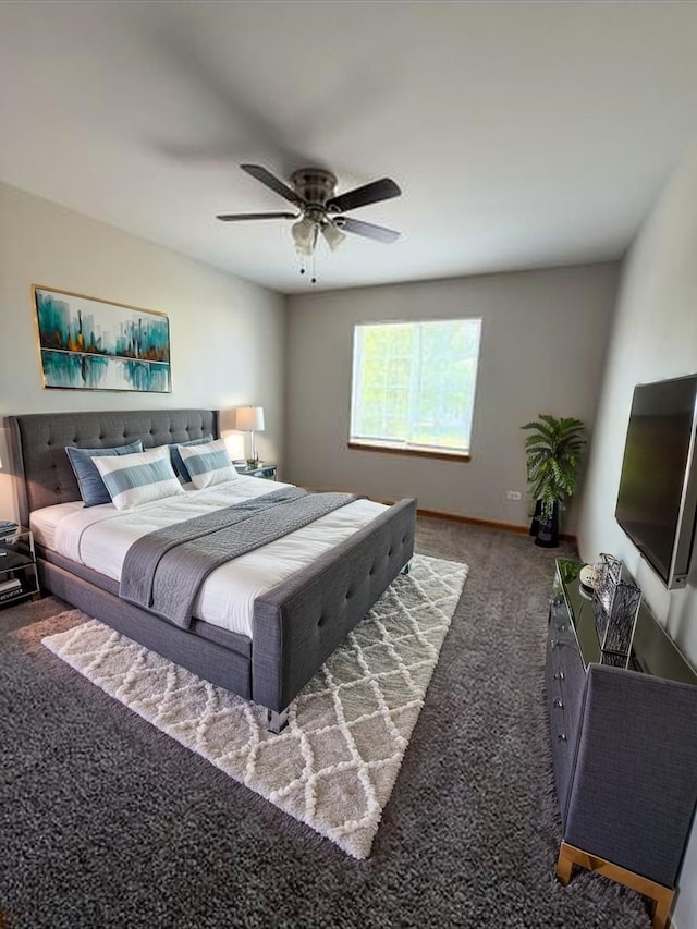 916 Bluegrass Ln, Plano, IL 60545 - carpeted bedroom with ceiling fan and baseboards