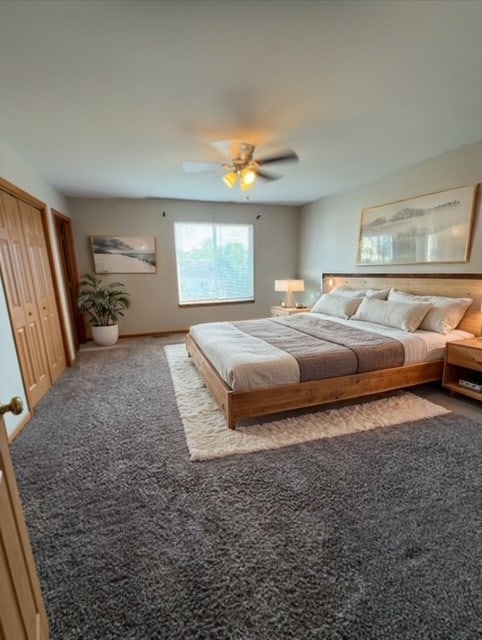 916 Bluegrass Ln, Plano, IL 60545 - carpeted bedroom featuring ceiling fan