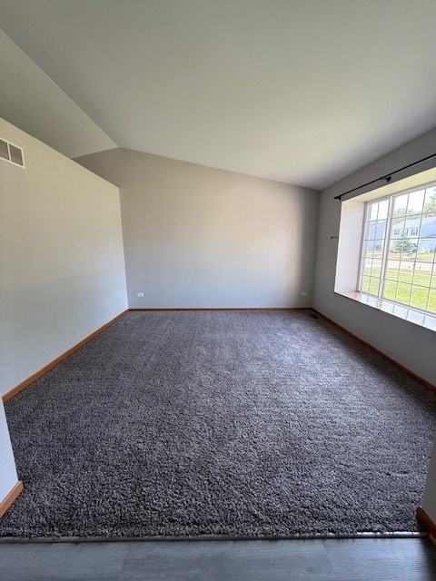 916 Bluegrass Ln, Plano, IL 60545 - spare room featuring baseboards, carpet flooring, and lofted ceiling