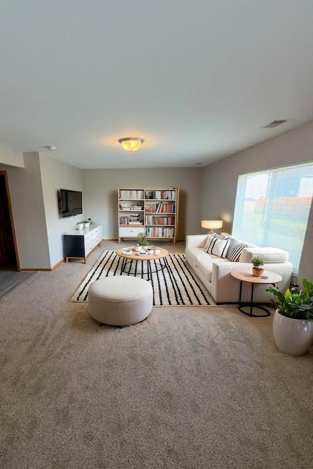 916 Bluegrass Ln, Plano, IL 60545 - view of carpeted living room