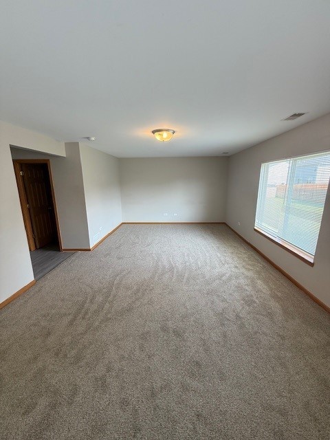 916 Bluegrass Ln, Plano, IL 60545 - spare room with carpet floors and baseboards