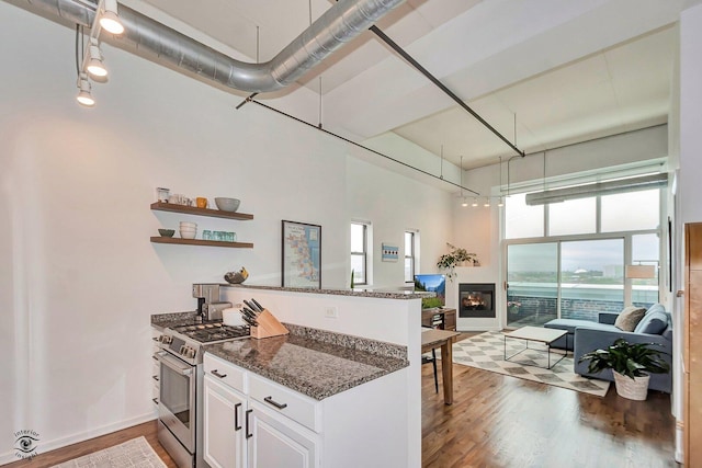 1645 W Ogden Ave Unit 722, Chicago, IL 60612 - kitchen featuring stainless steel range with gas cooktop, a peninsula, wood finished floors, dark stone countertops, and plenty of natural light