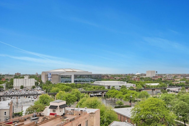 1645 W Ogden Ave Unit 722, Chicago, IL 60612 - view of yard featuring a view of city