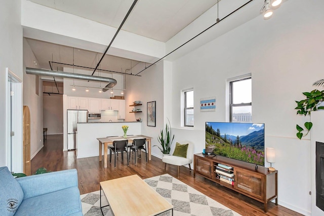 1645 W Ogden Ave Unit 722, Chicago, IL 60612 - living room with a high ceiling, wood finished floors, and track lighting